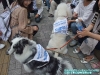 dscf2242