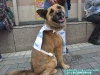 dscf2244