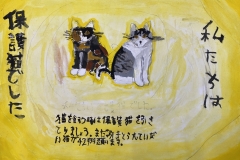 6.Happy Cats賞