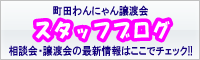 町田わんにゃん譲渡会